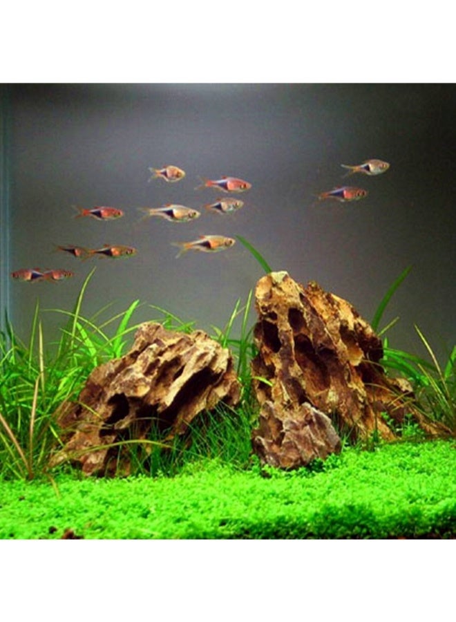 عشب مائي طبيعي خام لتزيين أحواض السمك الصخرية - 1 كجم - Image 4